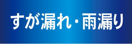 札幌屋根雨漏り・すが漏れ